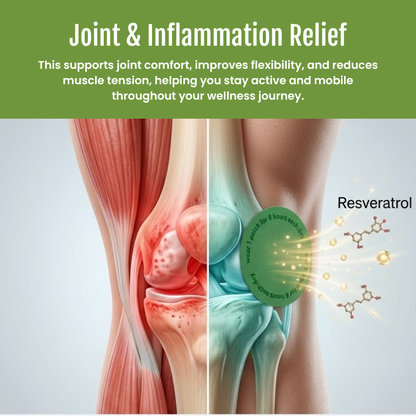 Timilk® PhytoMeta Advanced Botanical Infusion Matrix💕